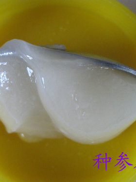 长白山椴树蜜 白蜜 让您爱上蜂蜜