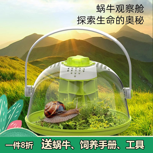 蜗牛观察桶饲养生态盒探索活体宠物白玉蜗牛巨型儿童学生实验教学