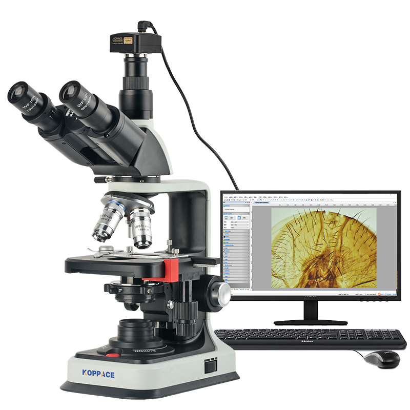 500万像素电子生物显微镜