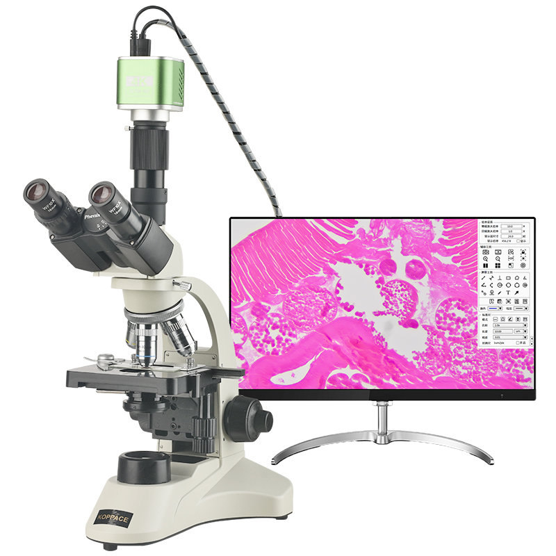 309X-7740X三目生物电子显微镜