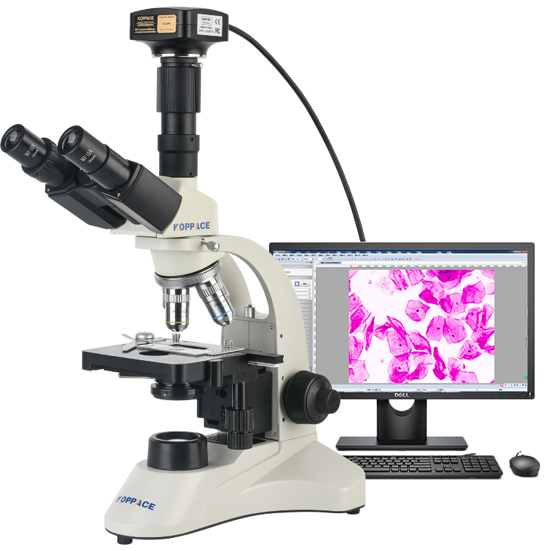 283X-7090X三目生物电子显微镜