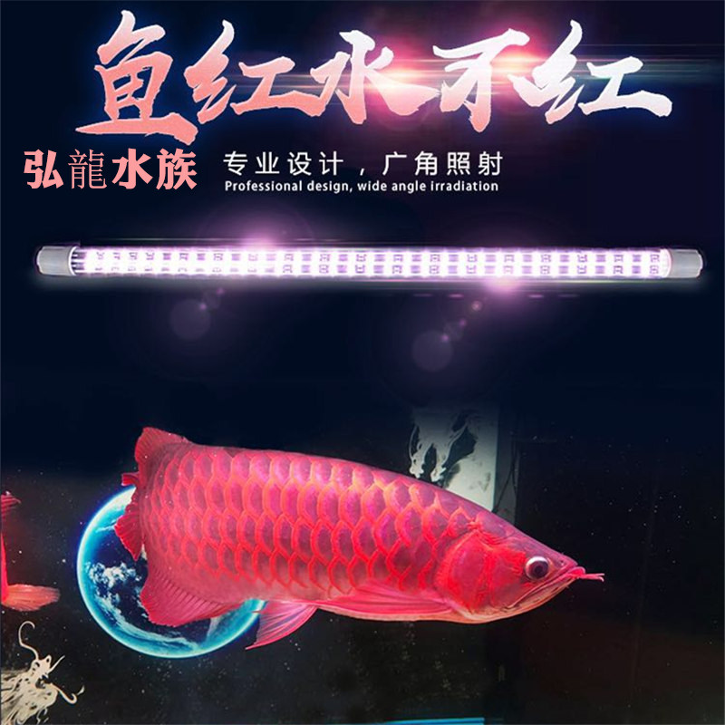 仟鱼神灯龙鱼灯LED灯水中灯增艳