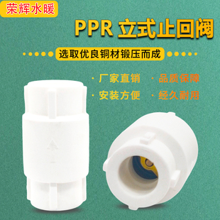 R水管止逆阀弹簧铜芯立式 25PP 止回 止回阀单向阀4分6分20 PPR立式