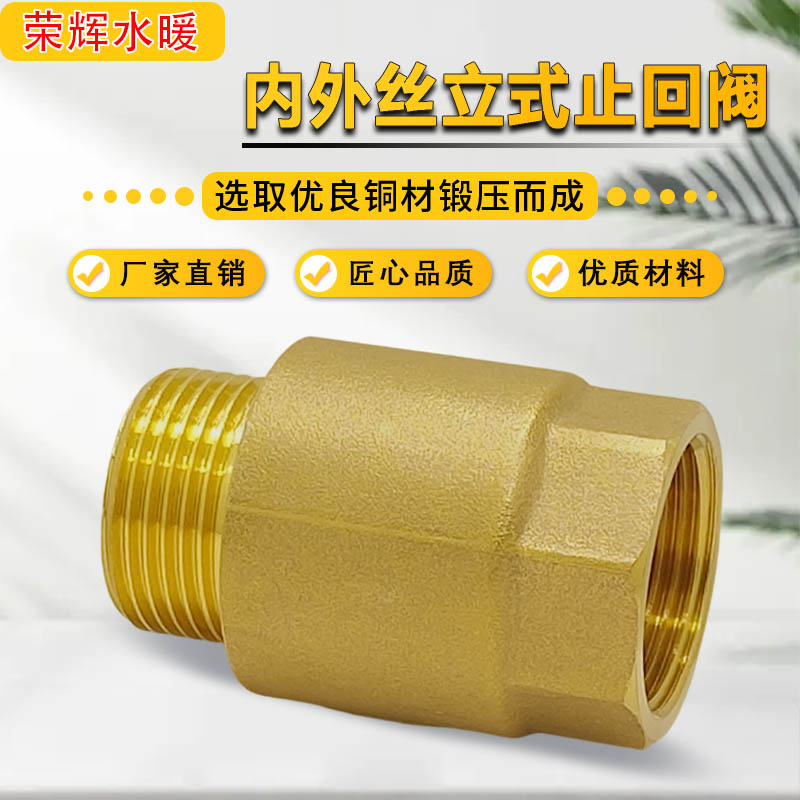铜内外立式止回阀弹簧