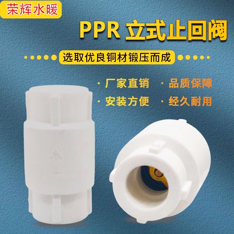 PPR立式止回阀单向阀4分6分20/25PP-R水管止逆阀弹簧铜芯立式止回