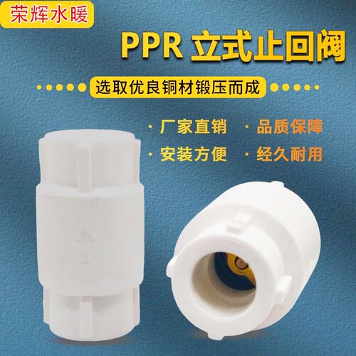PPR立式止回阀单向阀25PP-R水管