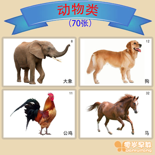 动物类儿童康复训练益智卡片教具自闭症孤独症发育迟缓早教益智