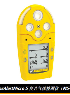 BW品牌M5便携式五合一复合气体检测仪M5-LEL/O2/CO/H2S/SO2