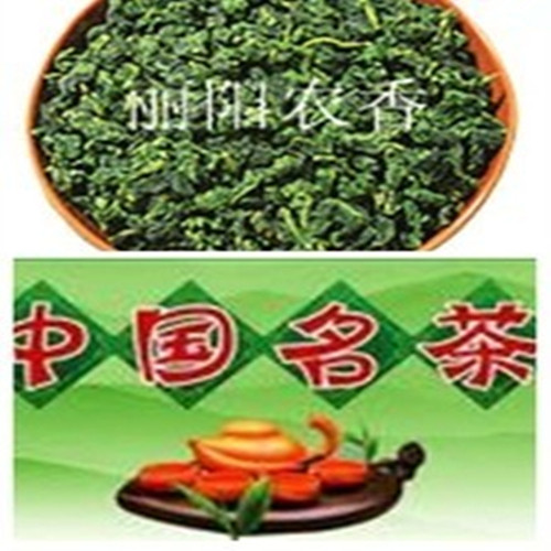 安溪清香型福建茶农正宗特价直销
