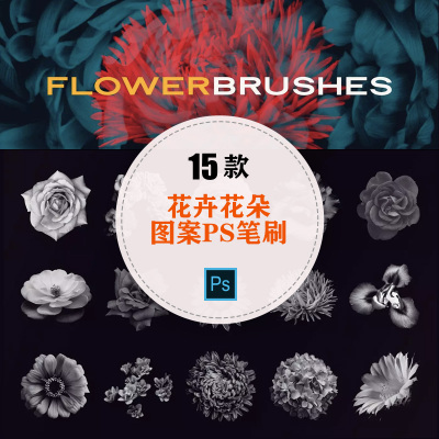 15款时尚高端优雅花卉花朵鲜花PS笔刷photoshop设计素材