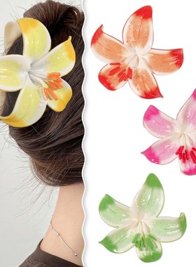 小众气质渐变晕染彩色鸡蛋花抓夹百合花立体花朵亚克力鲨鱼夹子女