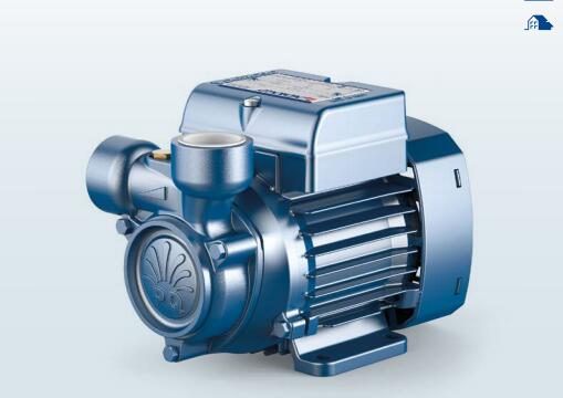 年末促销意大利佩德罗PEDROLLO水泵PQm65 单相水泵 意大利原装进