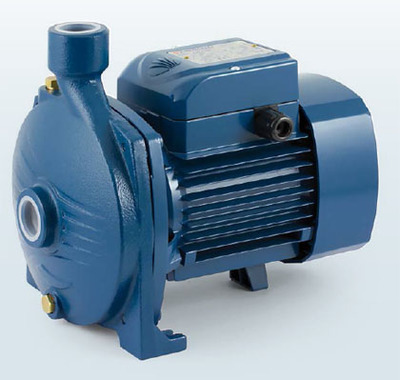 年末促销意大利原装进口佩德罗PEDROLLO水泵CP158