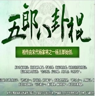 九阴真经五郎八卦棍秘籍99武学卡密礼花 送酒 官方正品