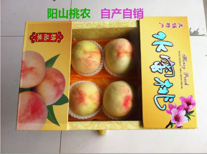 桃子 正宗无锡阳山水蜜桃无锡水蜜桃礼盒装5两 8只精装包邮新鲜