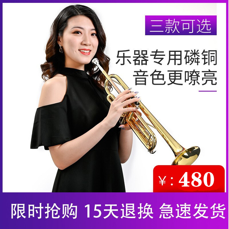 麦格维特降B调小号乐器儿童学生青年号三音西洋管乐初学考级乐队