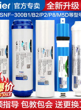 海尔施特劳斯净水器滤芯HSNF-300B5 B1SZ b2 p2 p8 m5D原装滤芯