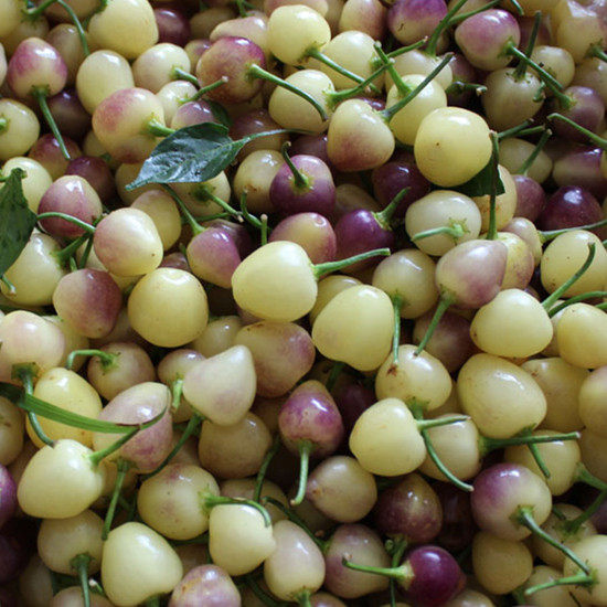 广西五彩椒农家现摘蔬菜 新鲜辣椒七彩椒小彩椒灯笼椒泡椒3斤包邮