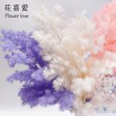 花喜爱 永生花白色蓬莱松仿真花手工diy干花仿真鲜花花束包装 材料