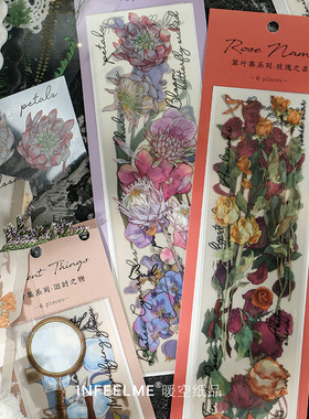 暖空infeel草叶集系列PET贴纸清新植物复古杂物手账贴画拼贴文艺