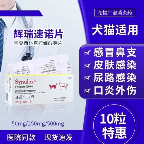 刮码速诺片剂50mg/犬猫单板整盒阿莫西林克拉维酸钾鼻支感冒