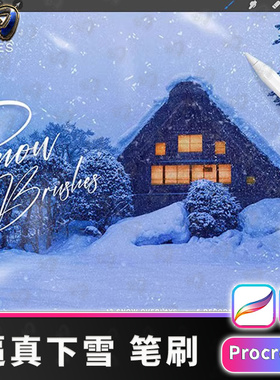 18新款个逼真下雪笔刷5个装饰性雪花procreate笔刷画笔刷插IP笔刷