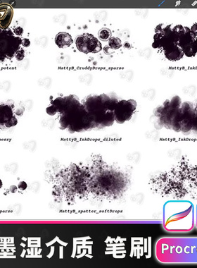 水墨湿介质画笔套装procreate笔刷procrete画笔插画素材IP笔刷