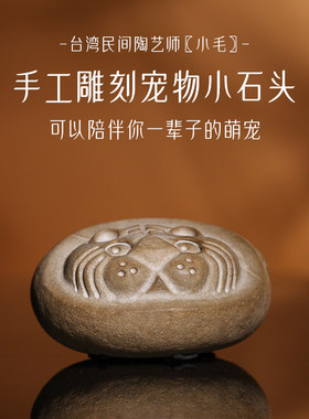 石头茶宠宠物养石生肖
