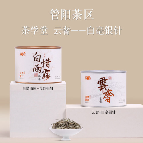 白毫银针茶学堂2024年