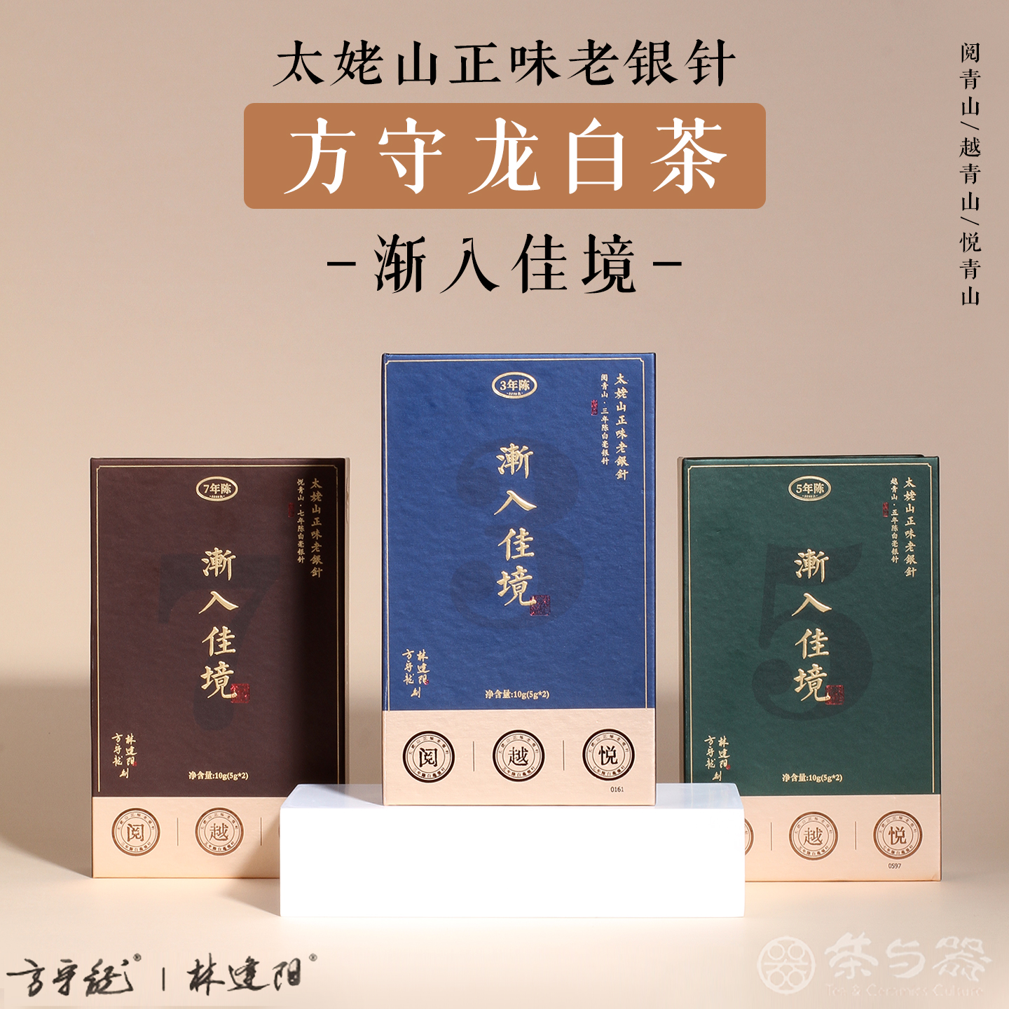 方守龙福鼎白茶2024渐入佳境10g