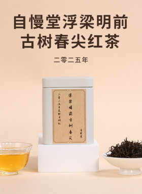 【上新】自慢堂红茶25年浮梁明前古树春尖红茶40g祁门种蜜兰花香