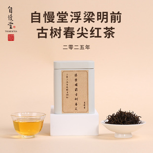 【上新】自慢堂红茶25年浮梁明前古树春尖红茶40g祁门种蜜兰花香