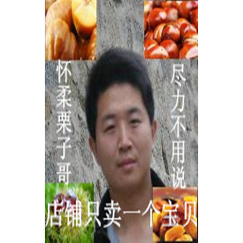 怀柔板栗油栗栗子新鲜