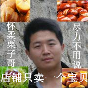 怀柔板栗油栗新鲜栗子2月27日上班发货预计到三月六号停发