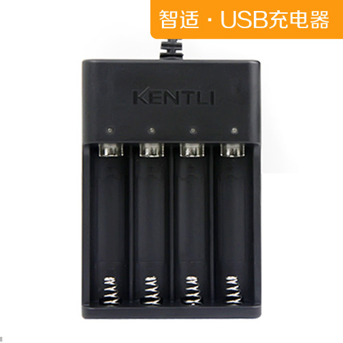 智能USB充电器 通用锂电池充电器 正品快充 可充5号AA充电锂电池