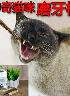 猫用木天蓼棒 猫猫磨牙洁齿棒蹭磨棒 逗猫猫零食猫玩具 三根10克