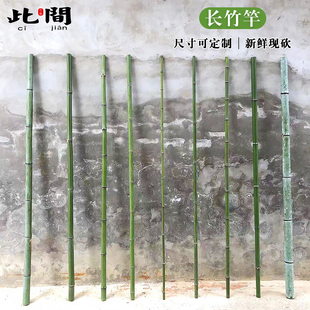 新鲜现砍长竹筒定制天然毛竹原材料庭院园艺婚庆布置1米2米长竹竿
