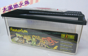 爬宠箱守宫饲养箱蜥蜴蛇蜘蛛甲虫蝎子爬虫箱亚克力角蛙饲养