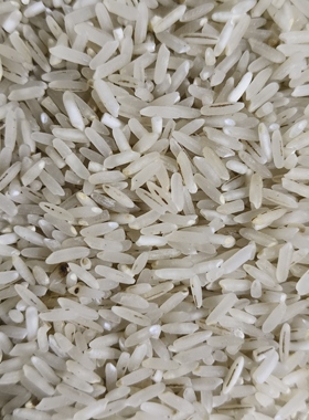 2025年10月新米农家自种晚稻香籼米现磨大米不抛光打蜡5斤龙虾米