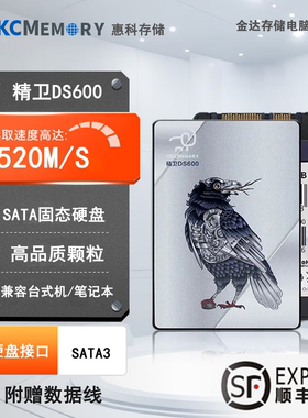 HKC惠科SATA固态硬盘512G/256G