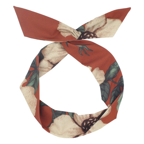 砖红色日系铁丝洗脸外出发箍花朵