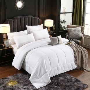 宾馆酒店九孔被冬被丝棉棉被全棉防羽布被子被芯被双人空调夏被
