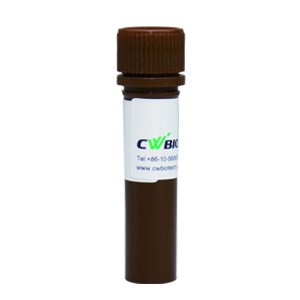 康为世纪  UltraSYBR Mixture  CW0957 荧光定量 PCR qPCR 染色