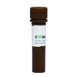 康为世纪  UltraSYBR Mixture  CW0957 荧光定量 PCR qPCR 染色