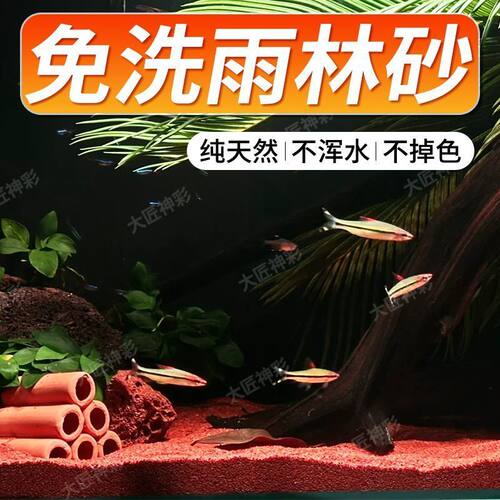 免洗精品雨林沙南美沙雷龙凤尾天然鱼缸造景鱼缸底砂热带鱼水族箱