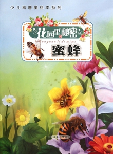 花园里的秘密(蜜蜂)/少儿科普美绘本系列 王粉玲|绘画:党龙虎,周舒,马雪莹//王倩//陈立桥等 正版书籍