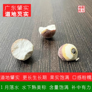 南阳经方 道地肇实 生长期长果实饱满口感粉糯含量足广东红皮芡实