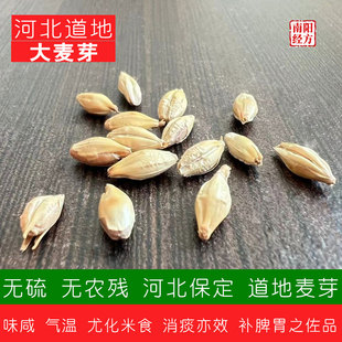 南阳经方 河北道地生麦芽中药材 无硫无农残 非小麦 正品炒大麦芽