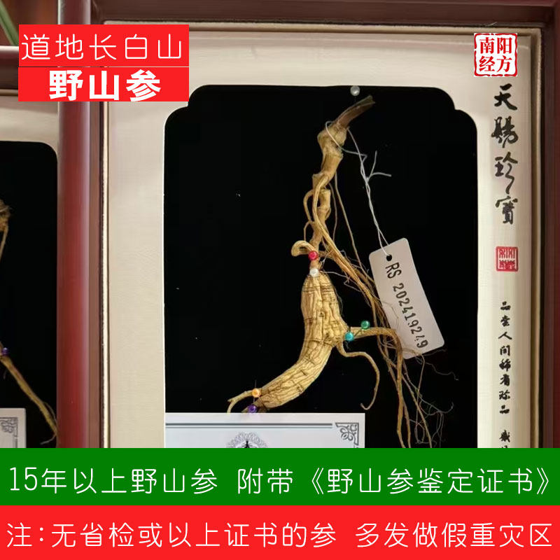 南阳经方 道地林下参 省检带证书 足15年以上 正品长白山野生山参