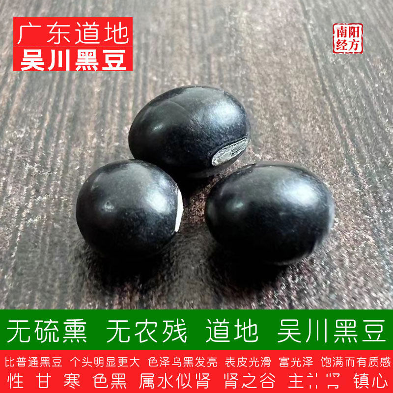 南阳经方 无农残道地黑大豆 无硫熏 药检级非转基因 乌皮青仁黑豆 - 实物图